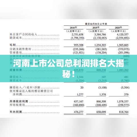 河南上市公司总利润排名大揭秘！