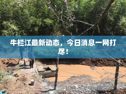 牛栏江最新动态，今日消息一网打尽！
