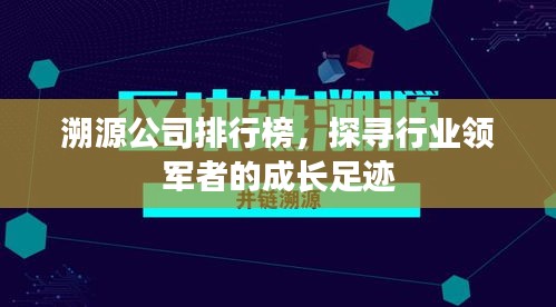 溯源公司排行榜，探寻行业领军者的成长足迹