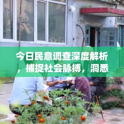 今日民意调查深度解析，捕捉社会脉搏，洞悉时代趋势