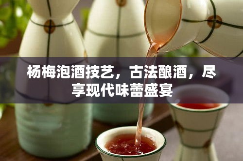 杨梅泡酒技艺，古法酿酒，尽享现代味蕾盛宴
