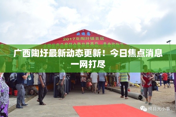 广西陶圩最新动态更新！今日焦点消息一网打尽