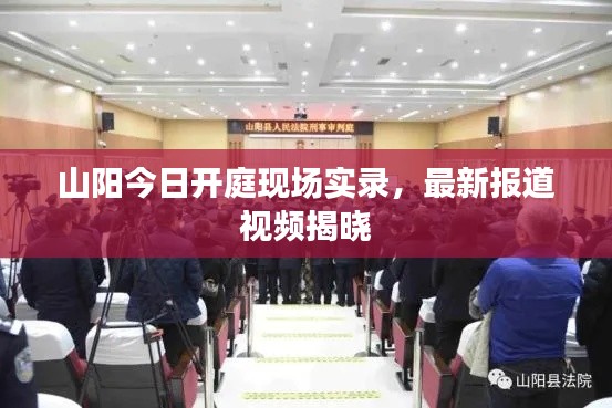 山阳今日开庭现场实录，最新报道视频揭晓