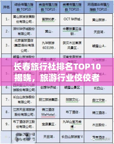 长春旅行社排名TOP10揭晓，旅游行业佼佼者深度解读