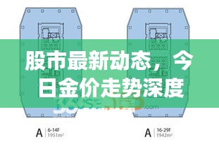 股市最新动态，今日金价走势深度解析