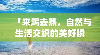 「来鸿去燕，自然与生活交织的美好瞬间，百度带你探寻」
