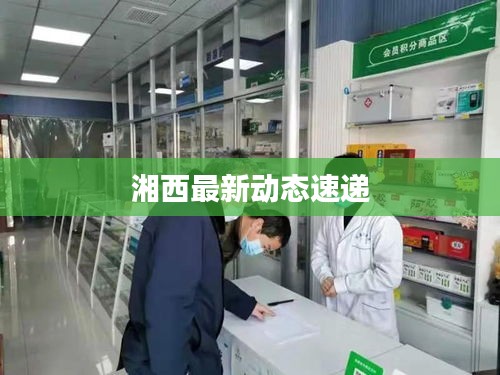 湘西最新动态速递