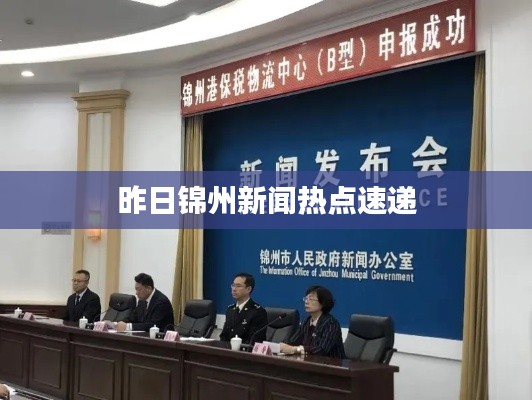 昨日锦州新闻热点速递
