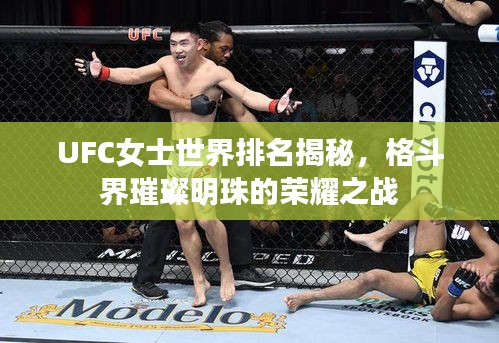 UFC女士世界排名揭秘，格斗界璀璨明珠的荣耀之战