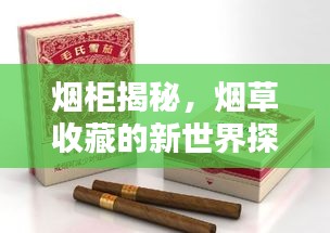 烟柜揭秘，烟草收藏的新世界探索