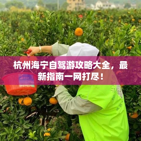 杭州海宁自驾游攻略大全，最新指南一网打尽！
