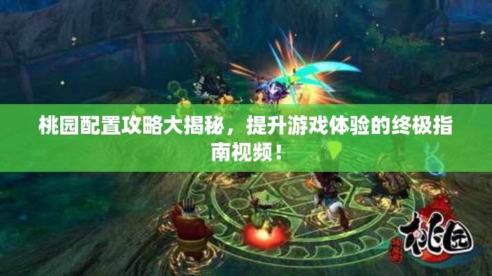 桃园配置攻略大揭秘，提升游戏体验的终极指南视频！