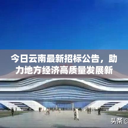 今日云南最新招标公告，助力地方经济高质量发展新动力