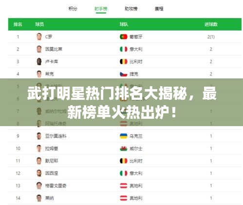 武打明星热门排名大揭秘，最新榜单火热出炉！