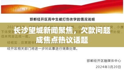 长沙望城新闻聚焦，欠款问题成焦点热议话题
