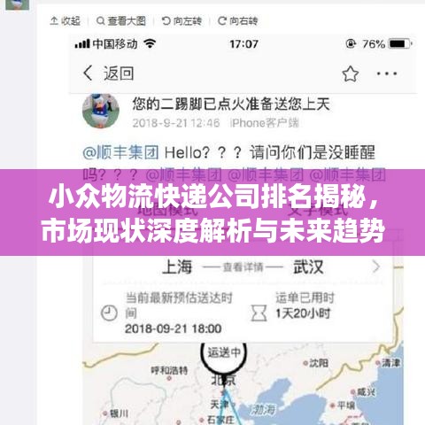 小众物流快递公司排名揭秘，市场现状深度解析与未来趋势展望