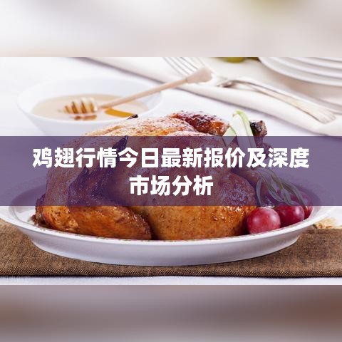 鸡翅行情今日最新报价及深度市场分析