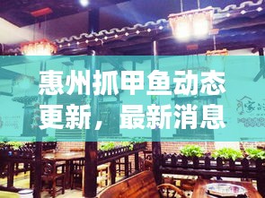 惠州抓甲鱼动态更新，最新消息一网打尽！