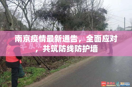 南京疫情最新通告，全面应对，共筑防线防护墙