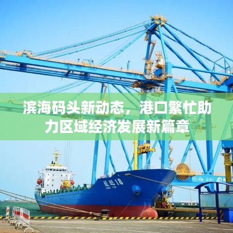 滨海码头新动态，港口繁忙助力区域经济发展新篇章