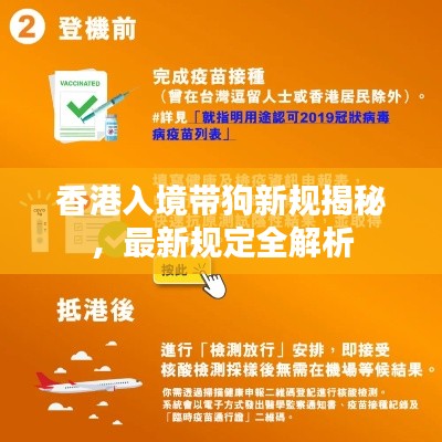 香港入境带狗新规揭秘，最新规定全解析
