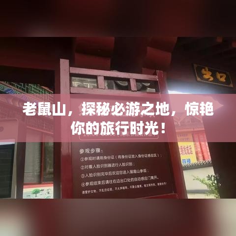 老鼠山，探秘必游之地，惊艳你的旅行时光！
