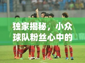 独家揭秘，小众球队粉丝心中的前十排名！
