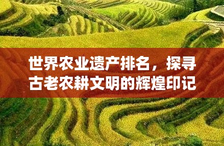 明目张胆 第2页