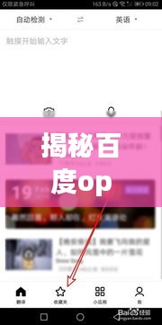 揭秘百度oprno，你所不知道的一切探讨