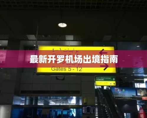 最新开罗机场出境指南