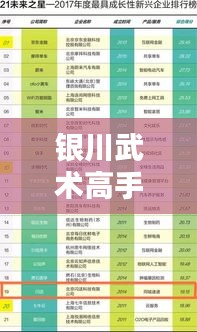 银川武术高手TOP10榜单揭晓！
