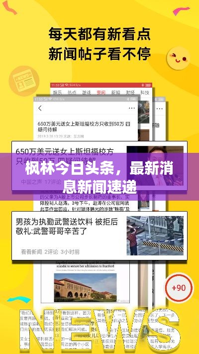 枫林今日头条，最新消息新闻速递