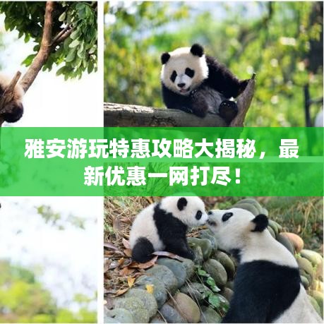三人成虎 第2页
