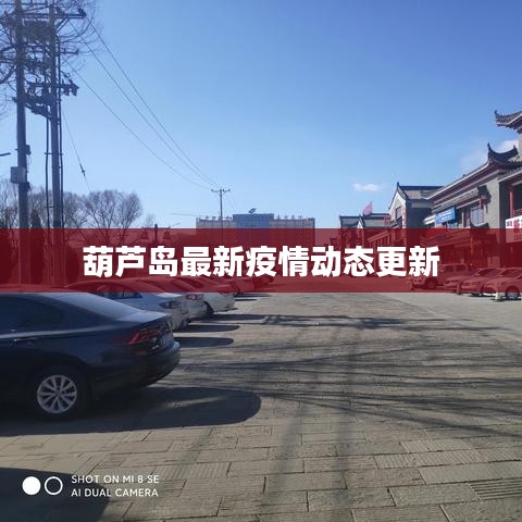葫芦岛最新疫情动态更新