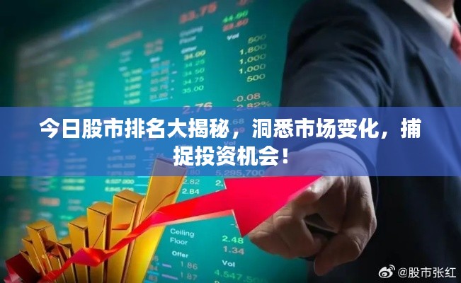 今日股市排名大揭秘，洞悉市场变化，捕捉投资机会！