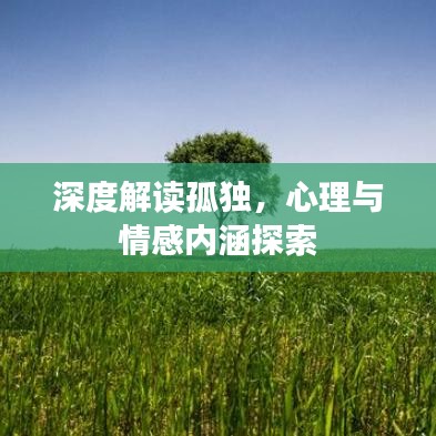 深度解读孤独，心理与情感内涵探索