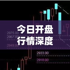 今日开盘行情深度解析报告