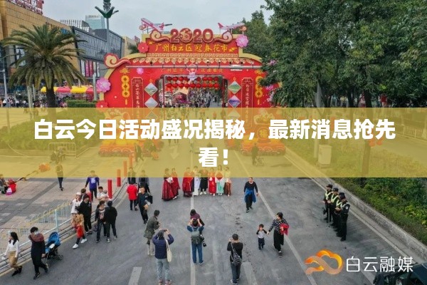 白云今日活动盛况揭秘，最新消息抢先看！