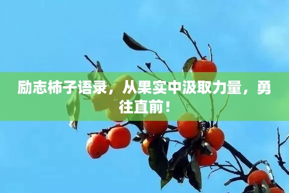 励志柿子语录，从果实中汲取力量，勇往直前！