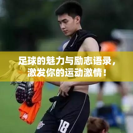 足球的魅力与励志语录，激发你的运动激情！