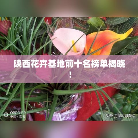 陕西花卉基地前十名榜单揭晓！