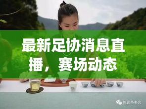 最新足协消息直播，赛场动态一览与未来展望揭秘