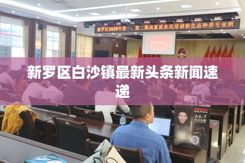 新罗区白沙镇最新头条新闻速递