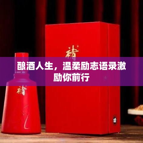 酿酒人生，温柔励志语录激励你前行