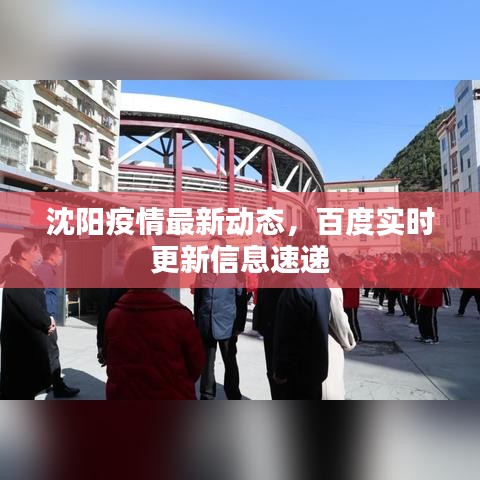 沈阳疫情最新动态，百度实时更新信息速递