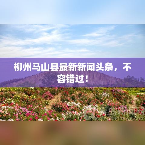 柳州马山县最新新闻头条，不容错过！