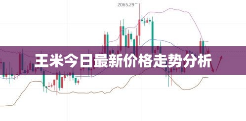 王米今日最新价格走势分析