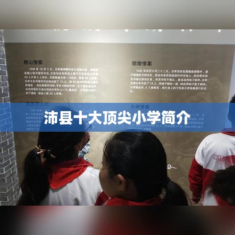 沛县十大顶尖小学简介