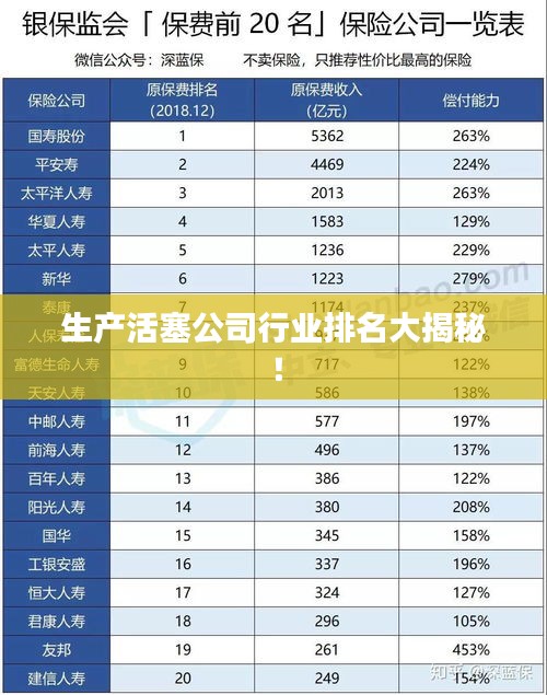 生产活塞公司行业排名大揭秘！