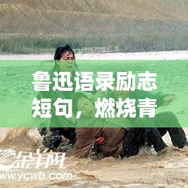 鲁迅语录励志短句，燃烧青春，铸就辉煌人生之路
